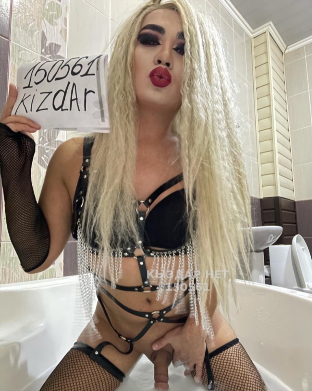 Bounty trans Shymkent, 24 catalog.years_old — Шымкент