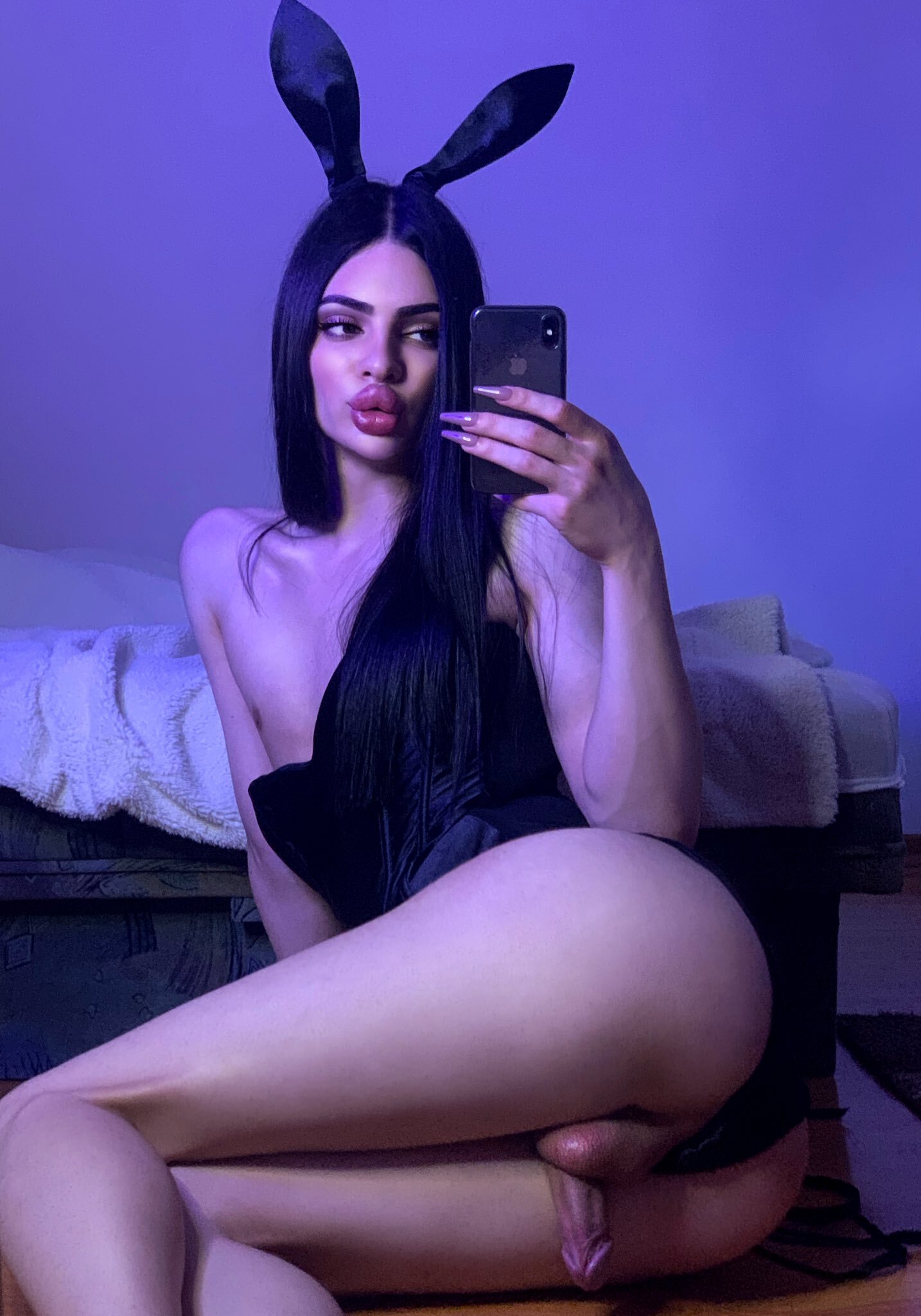 Elf Transy — photo